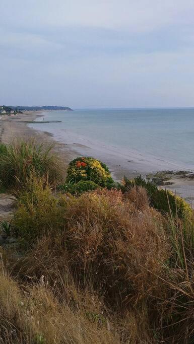 Gite La Mer, A La Campagne En Normandie, Proche Du Mont St Michel Lolif المظهر الخارجي الصورة